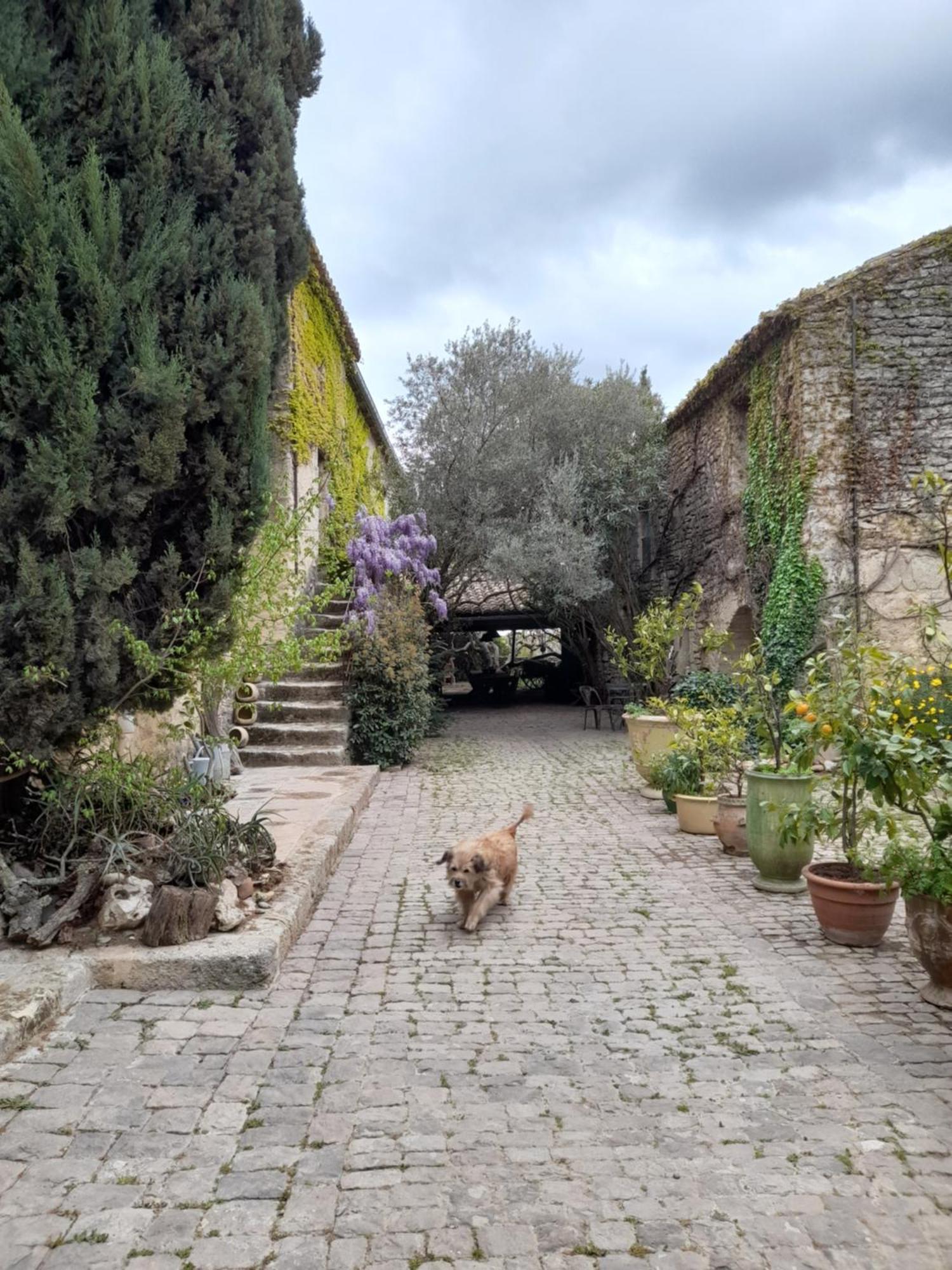 Le Mas Du Lac Uzès Eksteriør billede